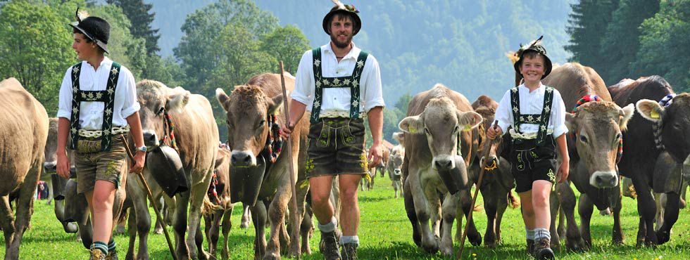 Viehscheid Bad Hindelang
