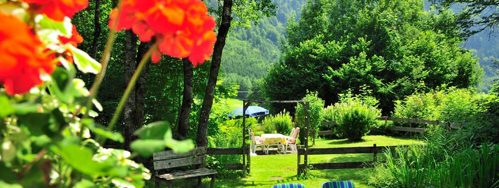 Blick auf den schönen Garten